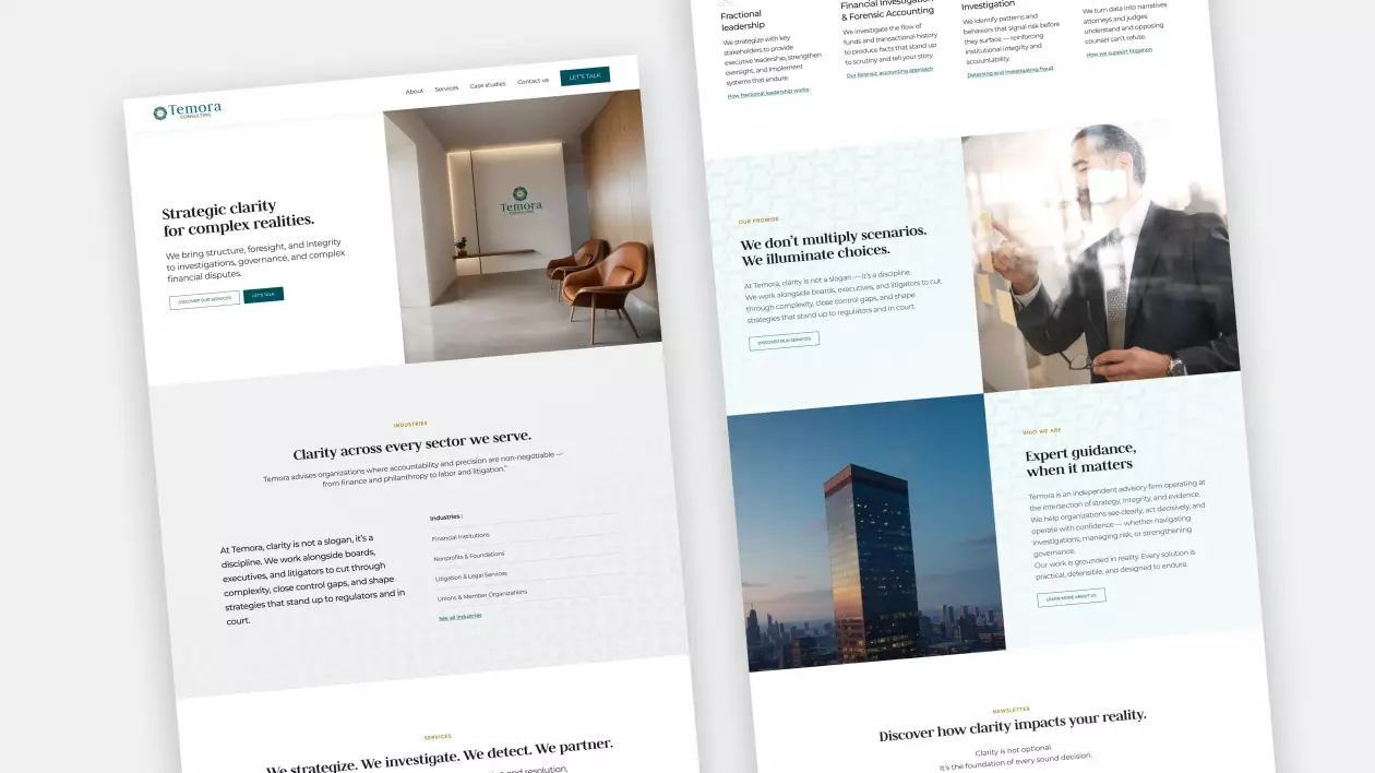 Temora Consulting 09 - Website homepage
